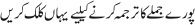 English to Urdu Translation